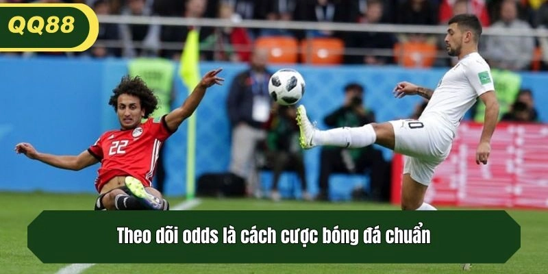 Theo dõi odds là cách cược bóng đá chuẩn